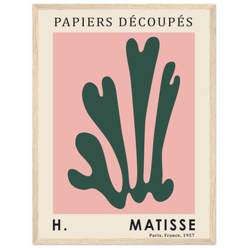 Paris - Matisse